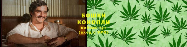мяу мяу мука Абаза